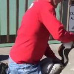 Na tym właśnie polega człowieczeństwo