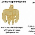 Jak my przetrwalismy