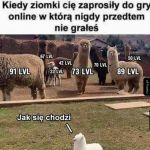 Wsparcie kolegow nieocenione