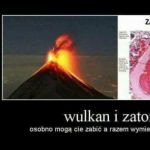 Razem mogą zdziałać dobro