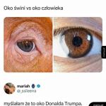 Podobieństwa widać