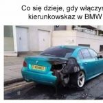To wszystko wyjaśnia