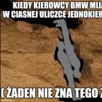 Kierowcy BMW