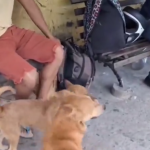 Małe akty dobroci mogą mieć ogromne znaczenie.