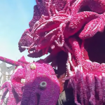 Ahoj! szczury lądowe !