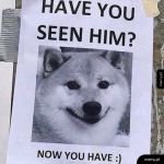 Pamiętacie Pieseła tak swoją drogą?