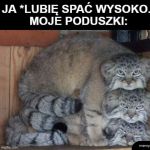 Poduszki