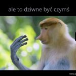 Ten moment autorefleksji