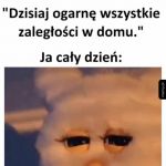 Dziś się uda