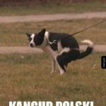 Najgorzej