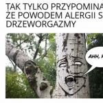 Ciekawostka na dziś