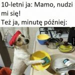 Znudzony