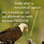 Freedom of speech