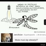 Smutna ważka