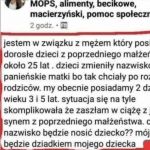 Mops