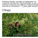 Witam