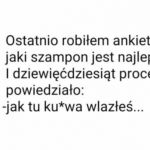 Ankieta