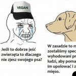 Pies