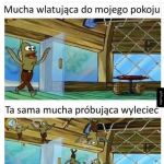 Pierońskie muchy