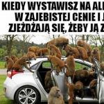 Janusze