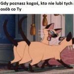Najlepiej
