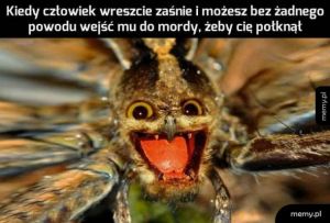 Tak wyczytałem w internecie, więc to prawda