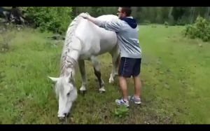 Co mogło p&oacute;jść źle..