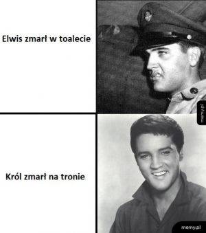 Najman - Memy.pl