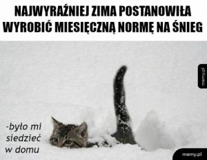 Ładnie nawaliło i nawali